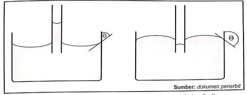 gambar-1